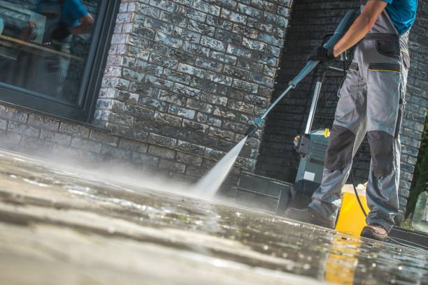 Best Animal Enclosure Cleaning  in Tyler, TX
